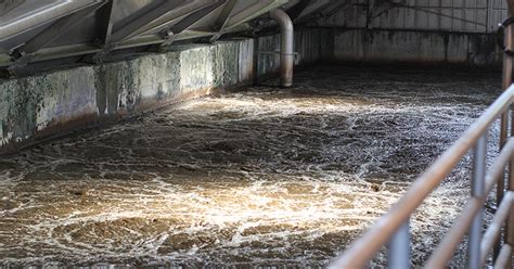 'The sewage sludge can't lie': ASU researchers find surprising clues ...