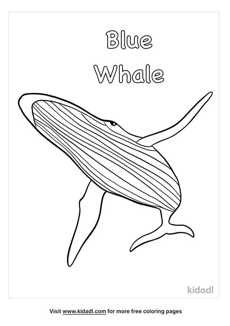 Free Blue Whale Coloring Page | Coloring Page Printables | Kidadl