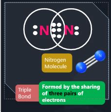 N2 Lewis Dot Structure