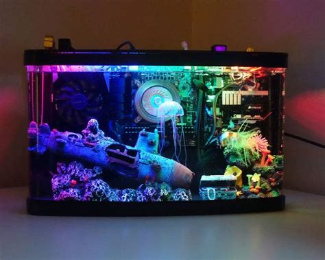 This Aquarium Gaming PC Build Is Incredible - Grown Gaming in 2023 | Best gaming setup, Custom ...