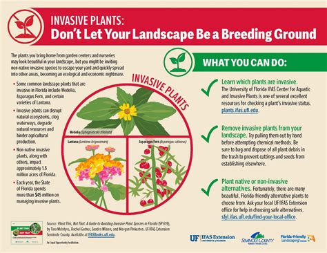 Plant This Not That: A New Resource for Residents & Professionals to Avoid Invasive Plants! - UF ...