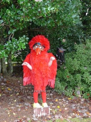 Last-Minute No-Sew Red Bird Costume