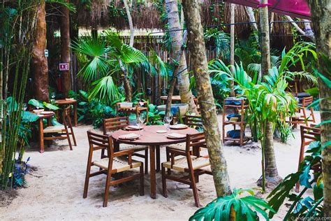 noma-mexico-tulum-rene-redzepi-popup-restaurant-review-food-foodie-eat ...