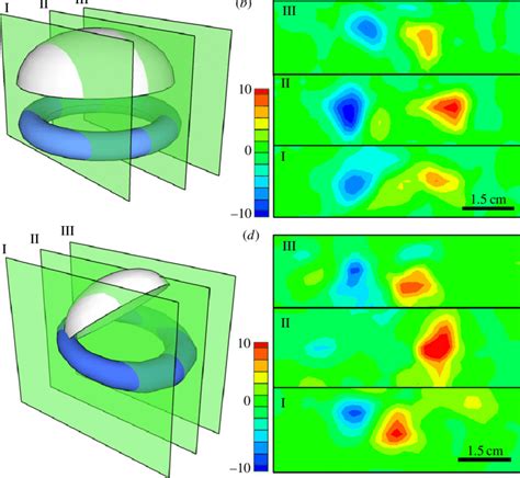 Vorticity magnitude of the vortex ring during straight swimming and ...