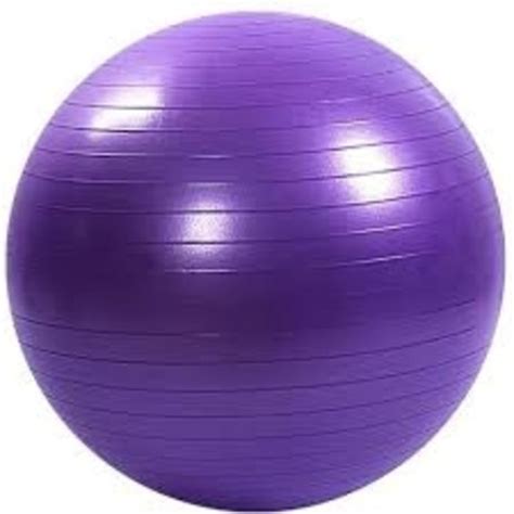 Yoga Ball / Exercise Ball- 65 cm - Jungle.lk