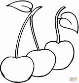 Cherries coloring page  Free Printable Coloring Pages sketch template