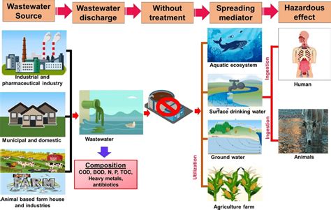 Water Pollution Sources And Effects