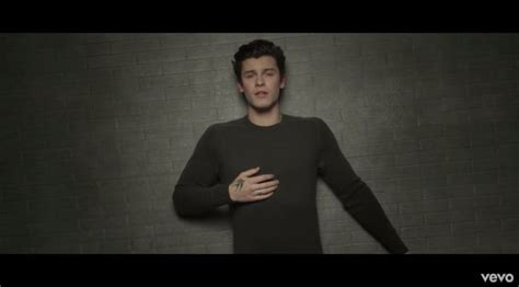 Watch: Shawn Mendes drops 'In My Blood' video