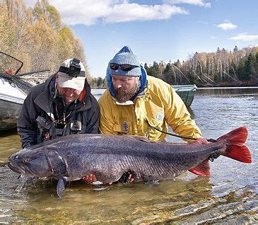 Fishing Worldrecords | Salmonidae over 10 kg | Hucho taimen