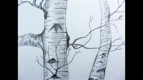 Birch Trees Drawing