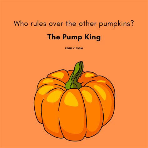 The 100 Very Best Pumpkin Puns And Pumpkin Jokes 2024