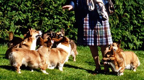 Queen Elizabeth’s Corgis: A History | Vanity Fair