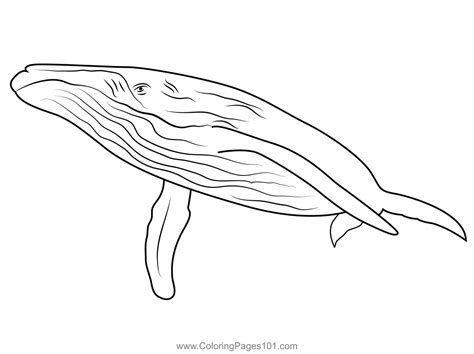 Endless Ocean Whales Coloring Page for Kids - Free Whales Printable ...