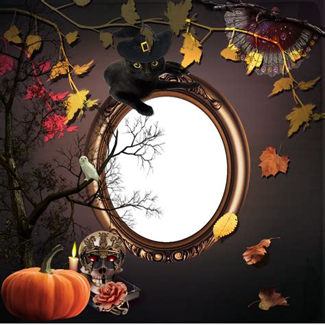 Textures Passion: Halloween frames for Photoshop