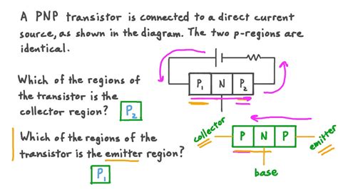 Question Video: The Structure of the PNP Transistor | Nagwa