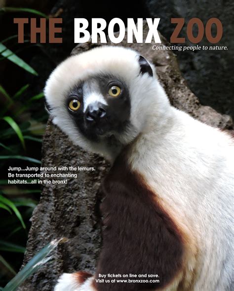 Bronx Zoo Posters on Behance