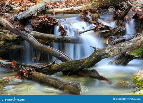 Mountain brook stock image. Image of brook, leafage, beauty - 35902069