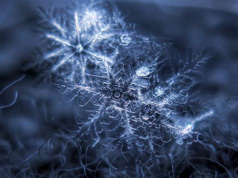 These Snowflake Macro Shots Were Done with a Canon Powershot - The Phoblographer