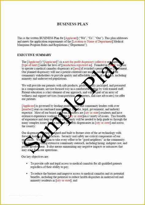 Free Dispensary Security Plan Template Of Free Printable Business Plan ...