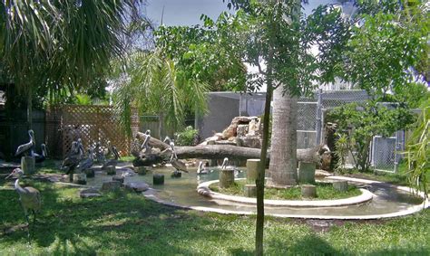 Peace River Wildlife Center in Punta Gorda | VISIT FLORIDA