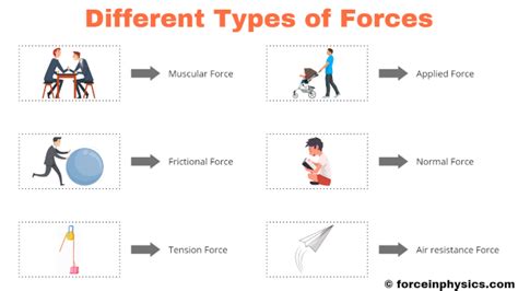 11+ Diferentes Tipos de Fuerzas [Con Ejemplos e Imágenes] | Westminster ...