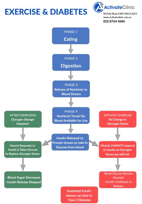 Exercise and Type 2 Diabetes | Activate Clinic