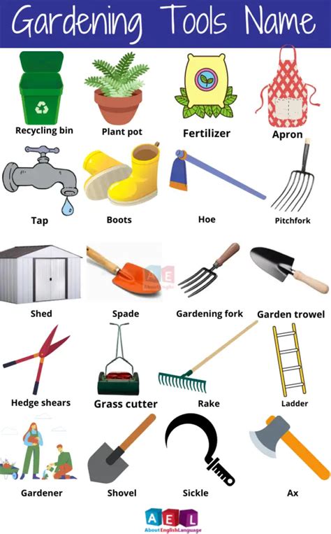 Useful Gardening Tools Names – Learn English online free