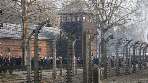 Tripadvisor removes insensitive review of Auschwitz Museum | Fox News