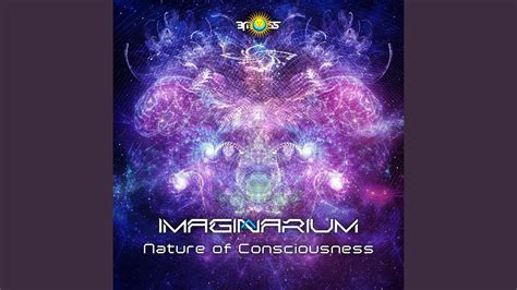 Nature of Consciousness - YouTube