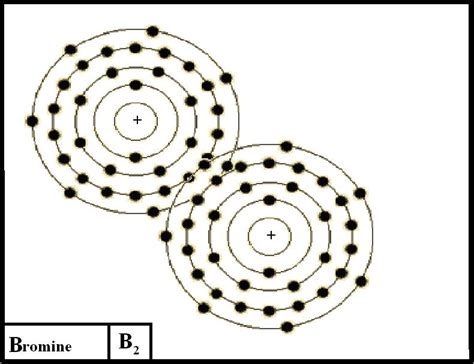 Bromine Bohr Diagram - Wiring Diagram Pictures