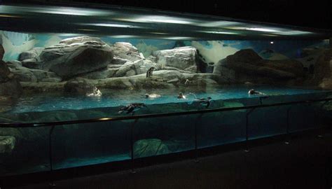 Shanghai Ocean Aquarium, Shanghai, China. – Advanced Aquarium Technologies