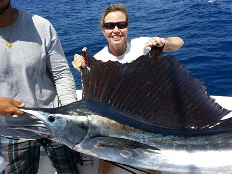 Sailfish and Wahoo Biting on Ft Lauderdale Sportfishing Trips | Fishing Headquarters