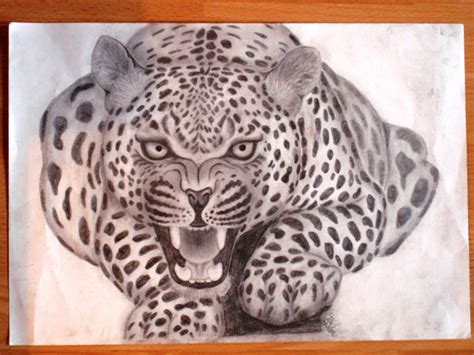 Drawing Fan Art: Jaguar | Drawings, Art, Fan art