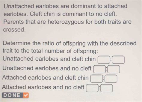 Solved: Unattached earlobes are dominant to attached earlobes. Cleft chin is dominant to no ...