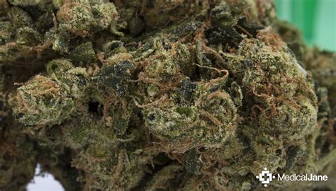 707 Headband | HD Gallery | Image #1