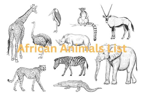 African Animals List - Predators, Primates & Horned Animals of Africa