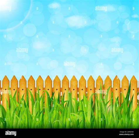 Garden background with green grass and wooden fence vector Stock Vector ...