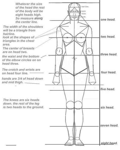 basic human proportion sheet | Insan figürleri, Anatomi, Insan çizimleri