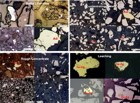 Gold displayed during extraction process | Download Scientific Diagram