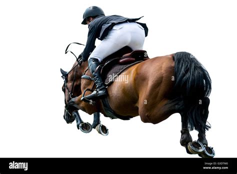 Horse Jumping, Equestrian Sports, Isolated on White Background Stock Photo - Alamy