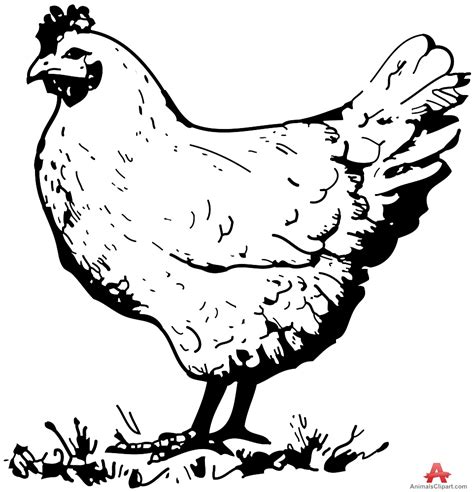 Free Black And White Chicken Clipart, Download Free Black And White ...