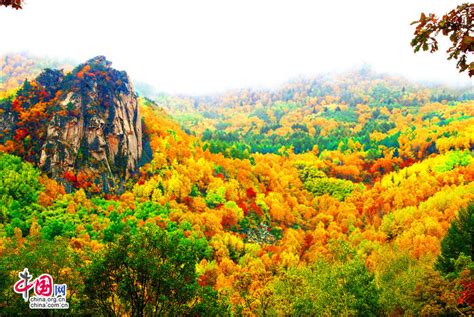 Wuling Mountain under the autumn veil - China.org.cn