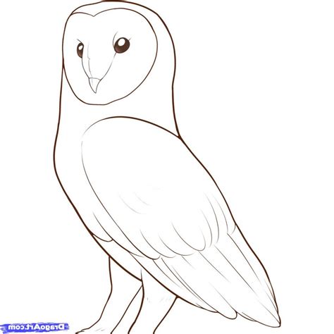 Easy Owl Drawing Step By Step at PaintingValley.com | Explore collection of Easy Owl Drawing ...