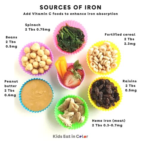 50 Iron-Rich Foods for Babies, Toddlers & Kids - Kids Eat in Color