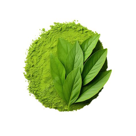 Green Matcha Leaf, Tea, Food, Herb PNG Transparent Image and Clipart for Free Download