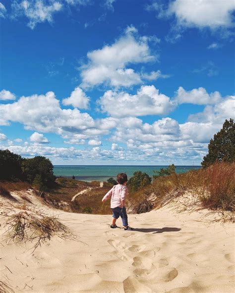 2025 AWESOME Guide to Exploring Warren Dunes State Park