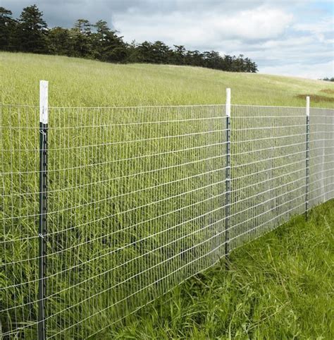 Cheap Easy Dog Fence With 3 Popular Dog Fence Options - Modern Design 9 | Fence design, Privacy ...