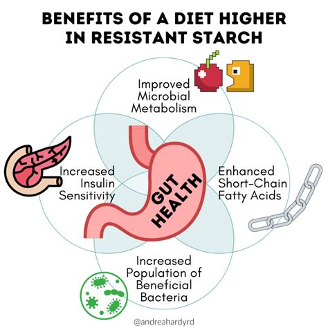 What Are the Benefits of a Diet High In Resistant Starch? - Andrea Hardy, RD