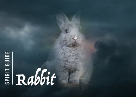 The Rabbit Spirit Animal - A Complete Guide to Meaning and Symbolism.