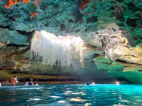 Tips for Devil's Den Prehistoric Springs: A Hidden Florida Oasis - Florida Trippers